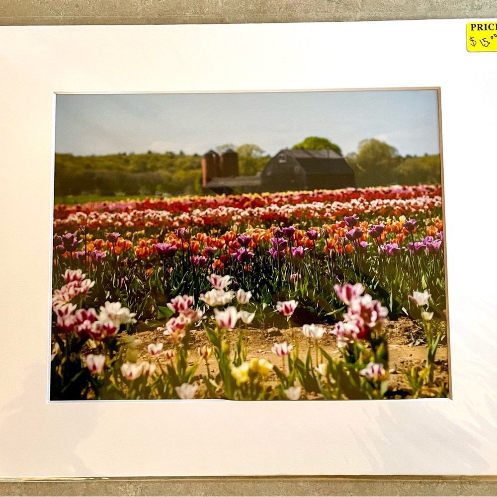 Tulip Farm Print